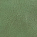 color swatch Darren Distressed Green Leather Biker Jacket